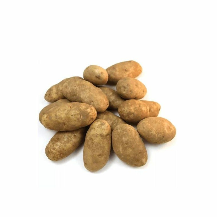 Hot Various Brands Jumbo Russet Potatoes, 8 Lb. Bag Baking