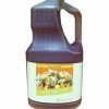 Wholesale Good As Gold Canola Popping Oil, 1 Gallon Oils