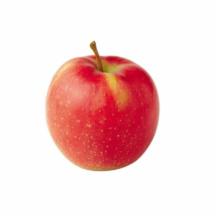 Hot Various Brands Jonagold Apples, 3 Lb. Bag Pantry